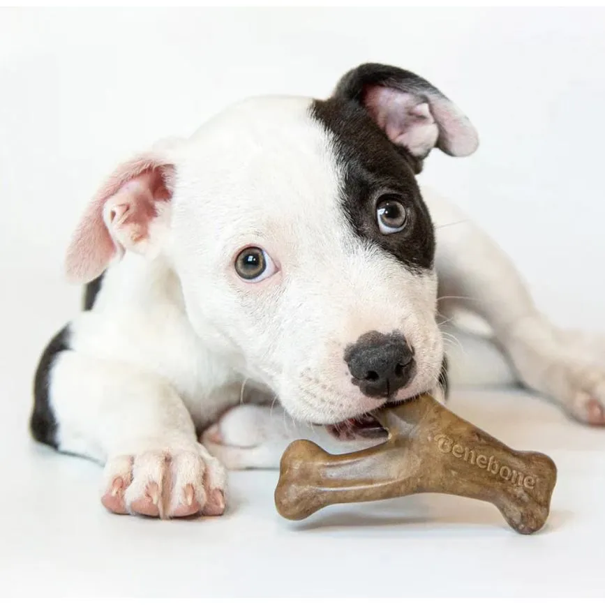 Benebone Puppy Wishbone - Bacon