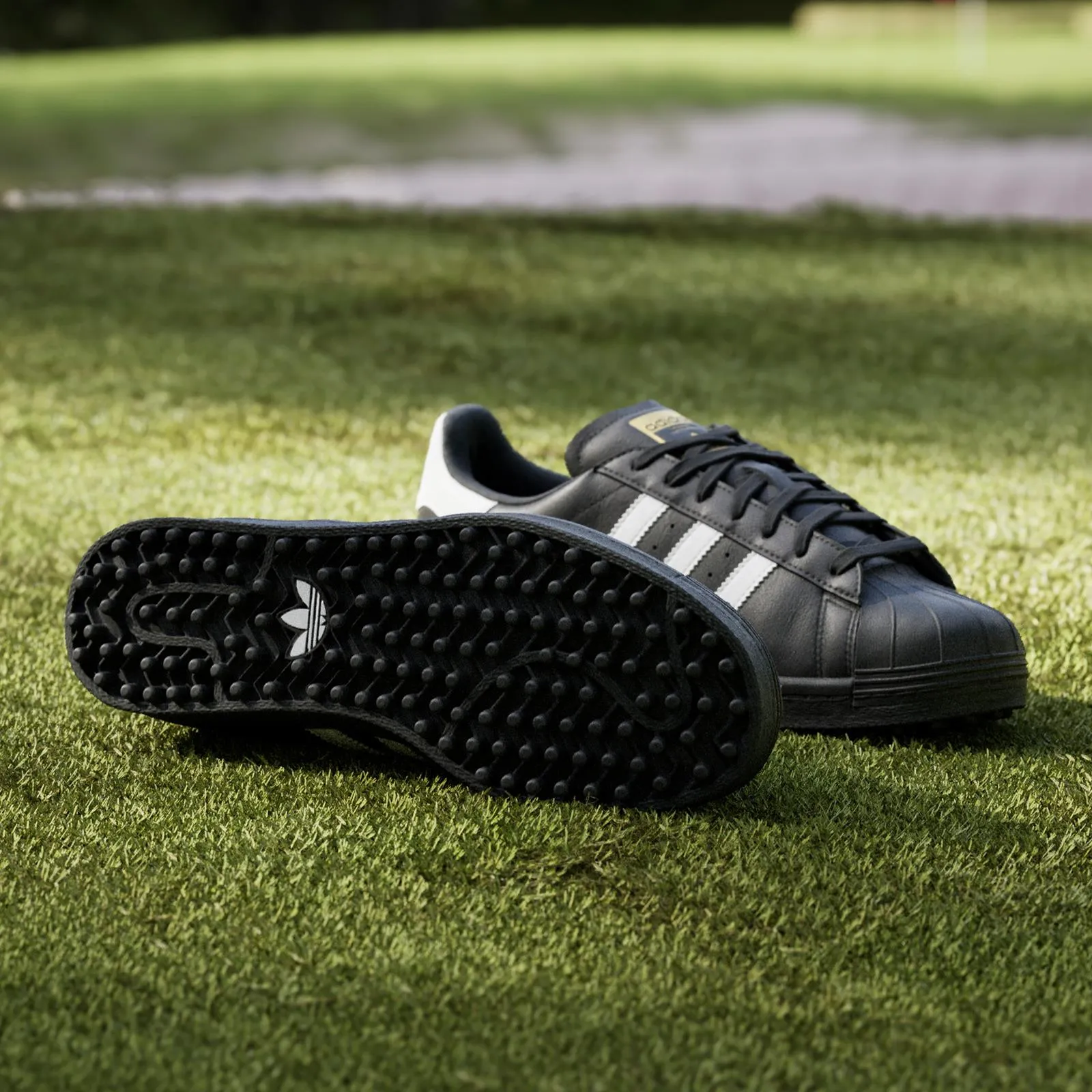 Superstar Spikeless Golf Shoes Black/White - 2025